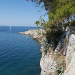 sveta marina